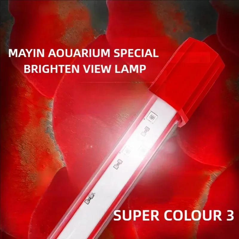 Aquarium Fish Colorful - Mayin Red Arowana Light Aquarium Special