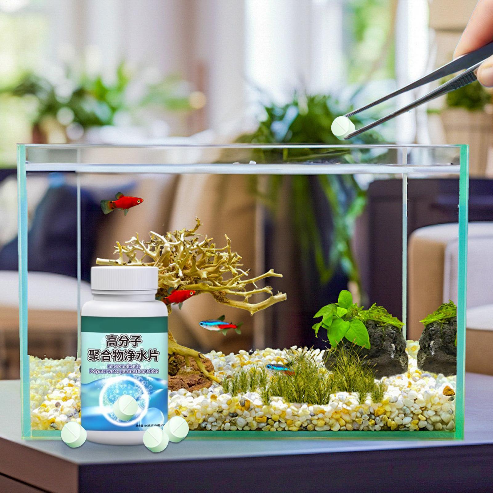 Fish Can Algae Remover Aquariu - Aquarium Fish Betta recension och pris
