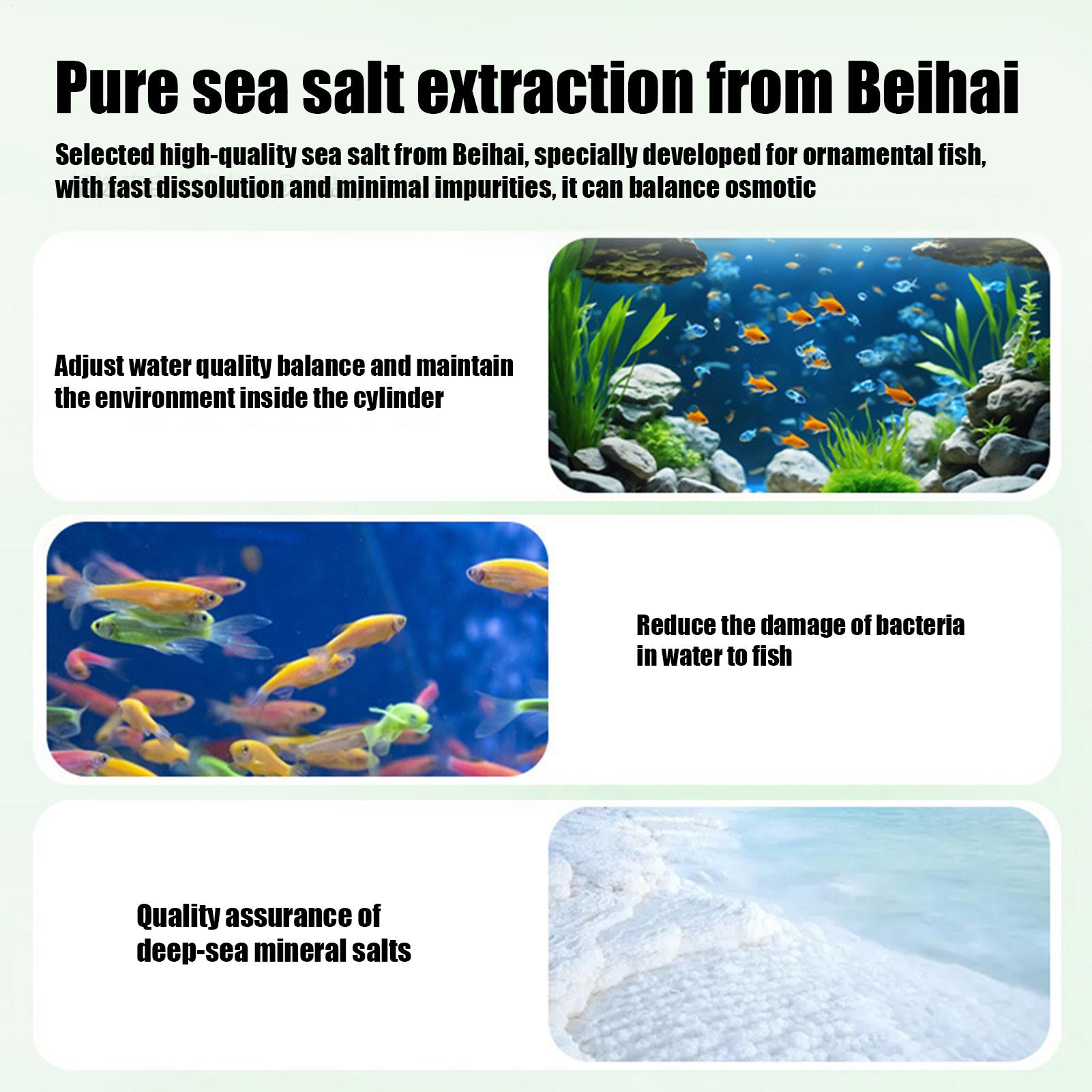 Fish Can Algae Remover Aquariu - Aquarium Fish Betta recension och pris