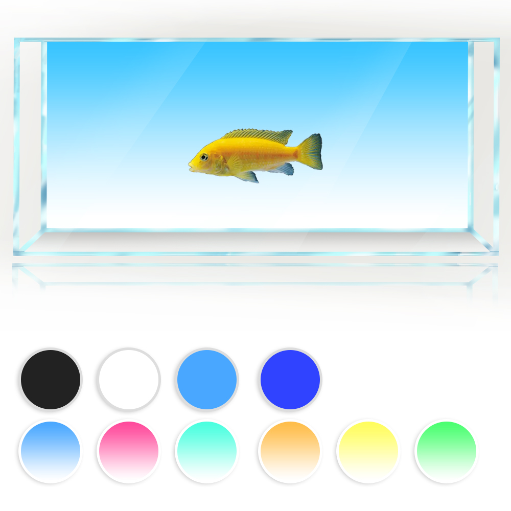 Fish Tank Background White Yel - Aquarium Fish Yellow And Black recension och pris