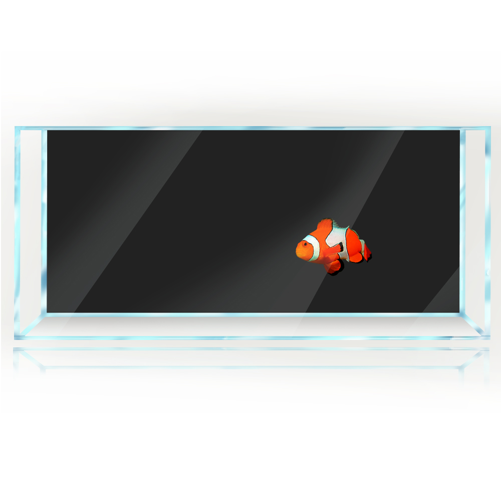 Fish Tank Background White Yel - Aquarium Fish Yellow And Black recension och pris