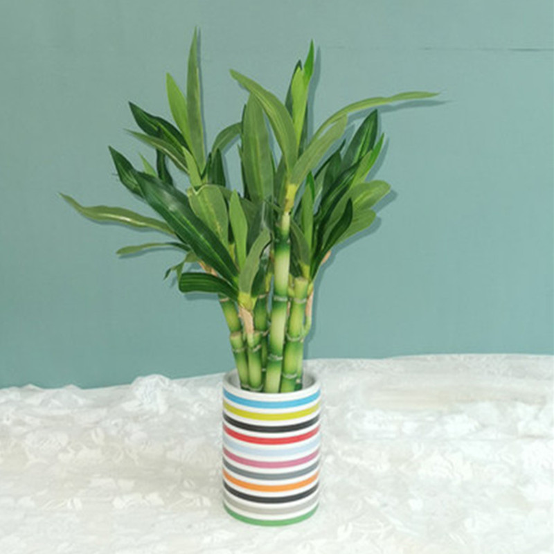 New 40cm Artificial Lucky Bamb - Aquarium Fish Names recension och pris