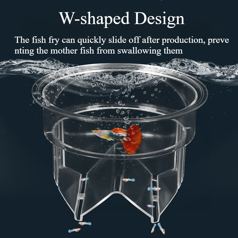 Floating Fish Breeding Isolati - Aquarium Fish Betta recension och pris