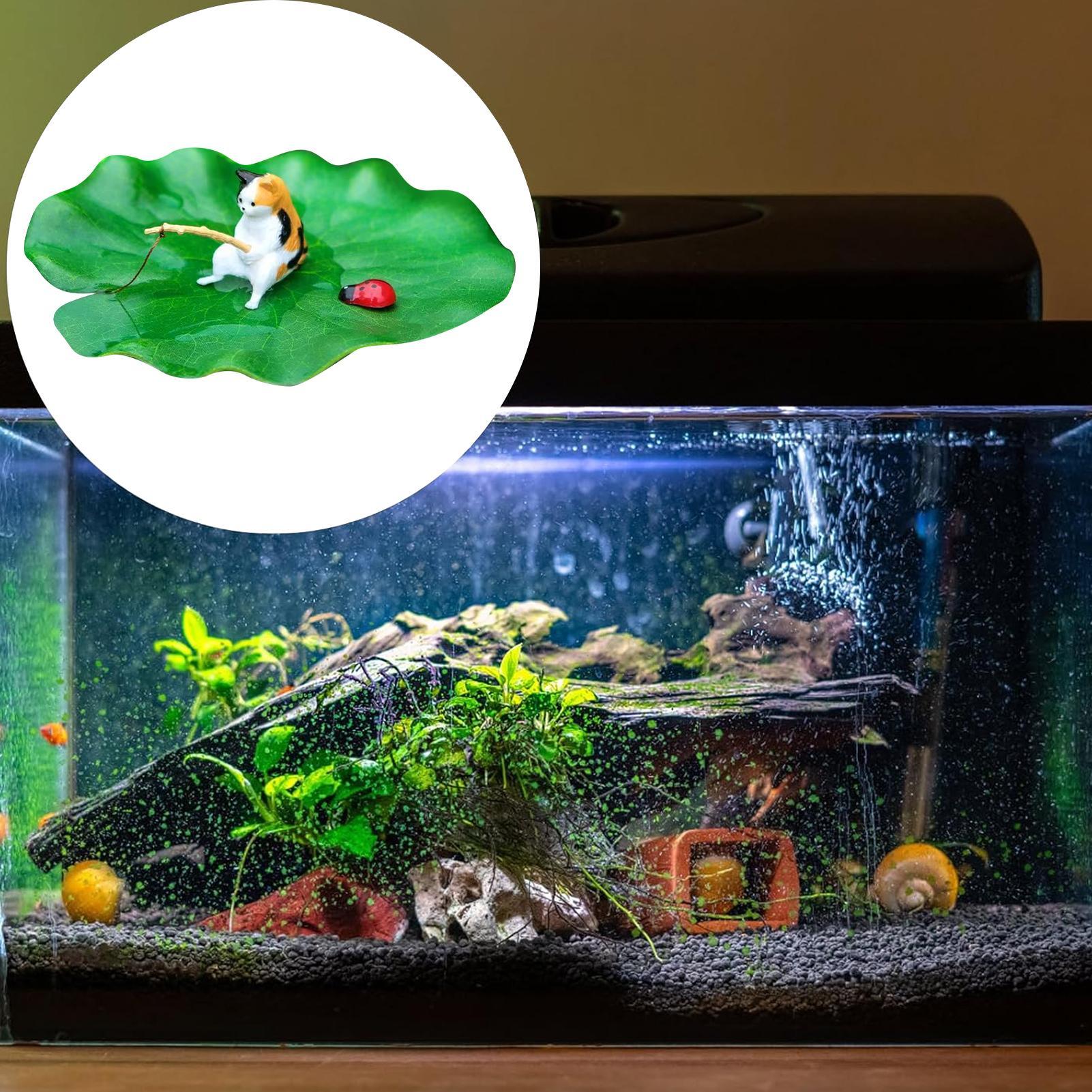 Cat Fishing on Floating Lily P - Aquarium Fish Names recension och pris
