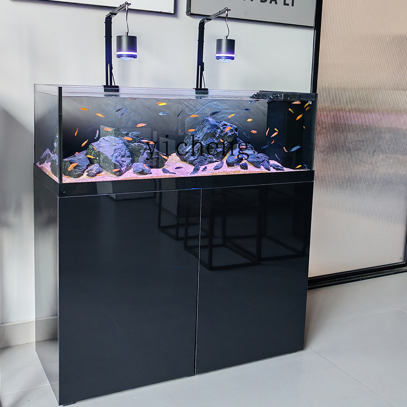 U1  native wild stream tank Sa - Wild Aquarium Fish recension och pris