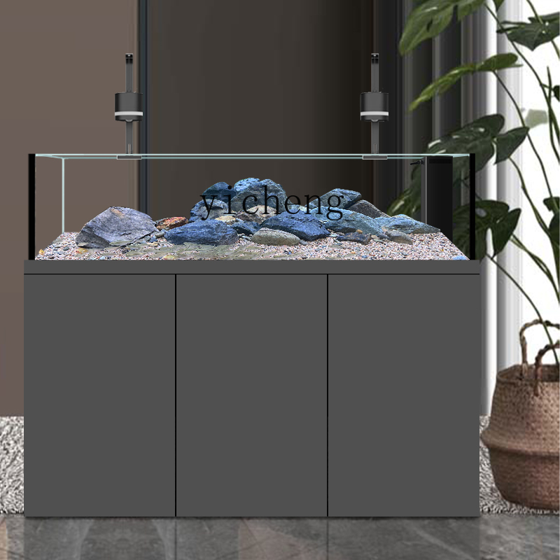 U1  native wild stream tank Sa - Wild Aquarium Fish recension och pris