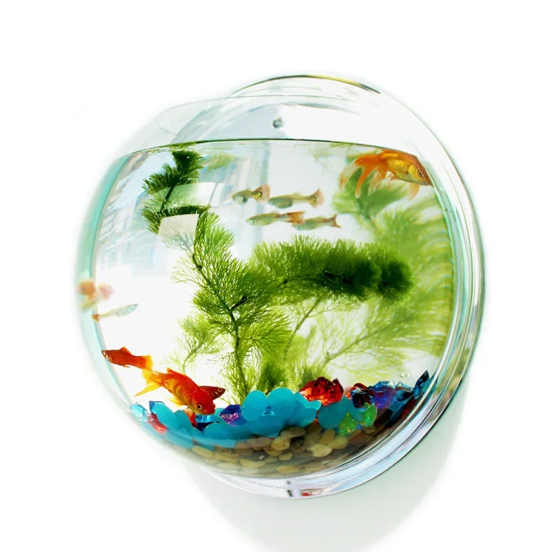 Pinsjar Acrylic Fish Bowl Wall - Aquarium Fish Betta recension och pris