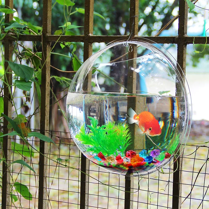 Pinsjar Acrylic Fish Bowl Wall - Aquarium Fish Betta recension och pris