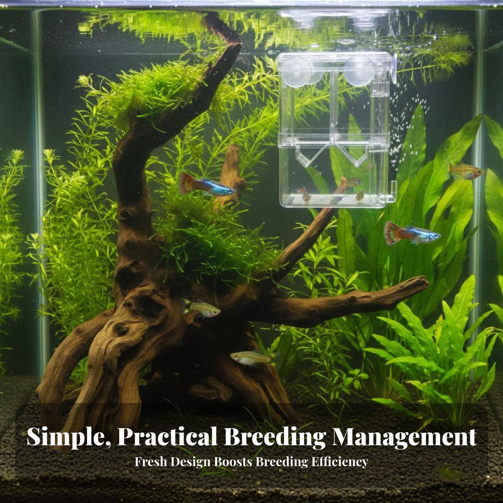 Double Layer Aquarium Breeding - Aquarium Fish Breeding recension och pris