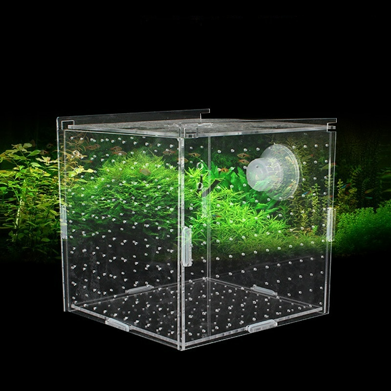 Acrylic Isolation Box Fish Tan - Aquarium Fish Net Small recension och pris