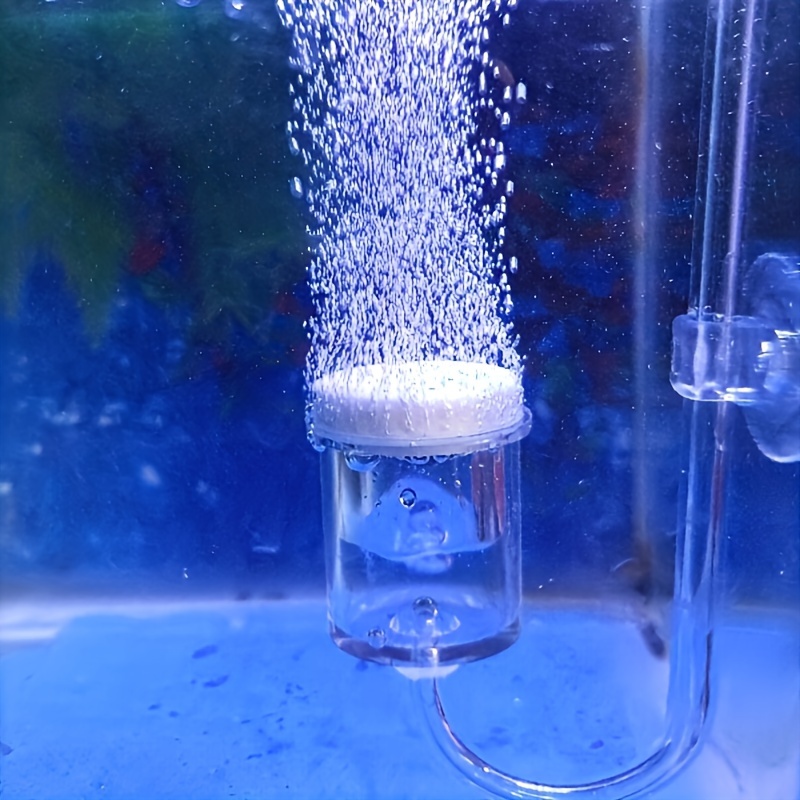Aquarium Glass CO2 Atomizer Di - Aquarium Fish Quarantine recension och pris
