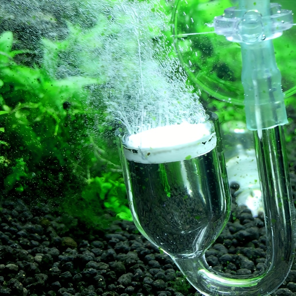 Aquarium Glass CO2 Atomizer Di - Aquarium Fish Quarantine recension och pris