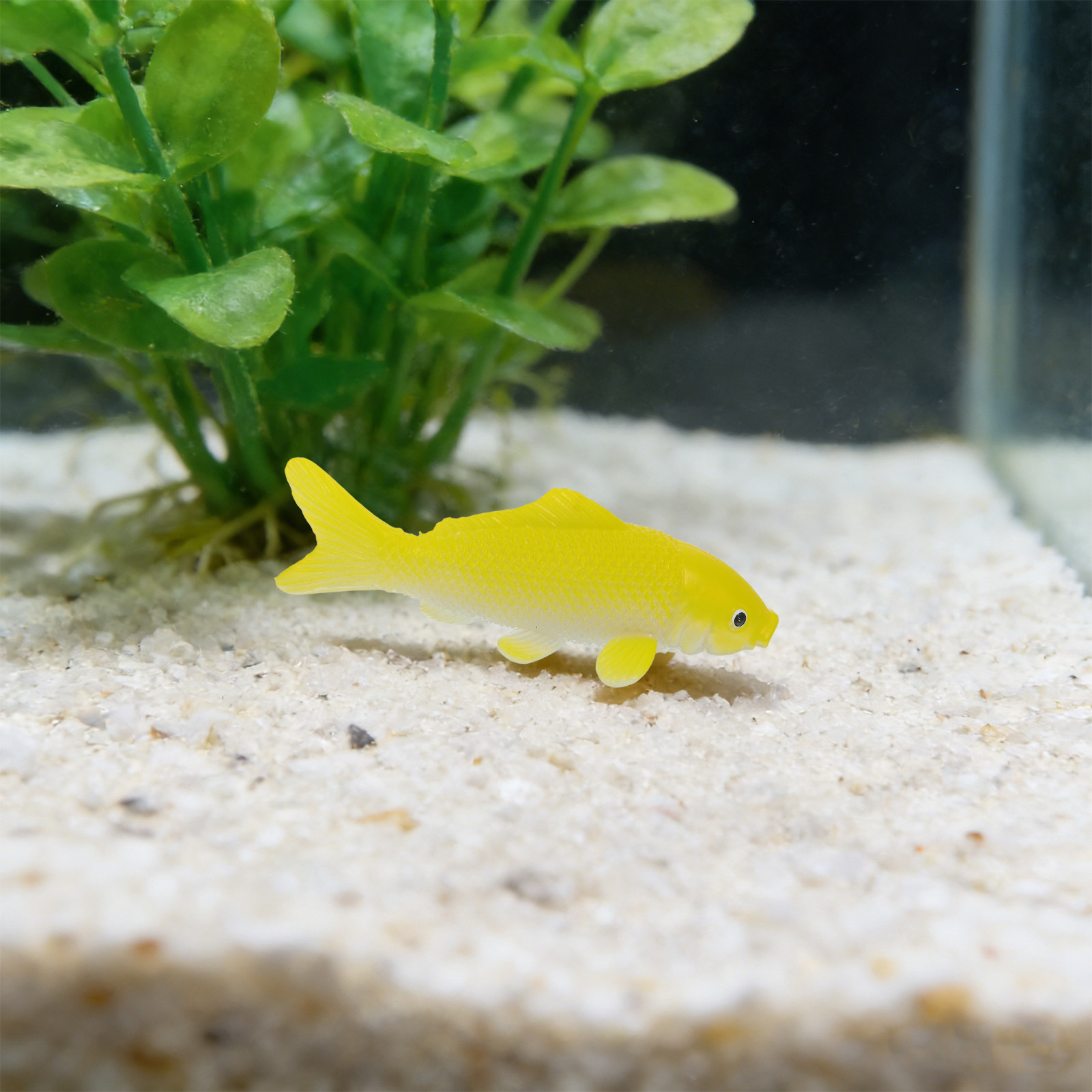 3pcs Fish Crafts Toys Realisti - Aquarium Fish Home recension och pris