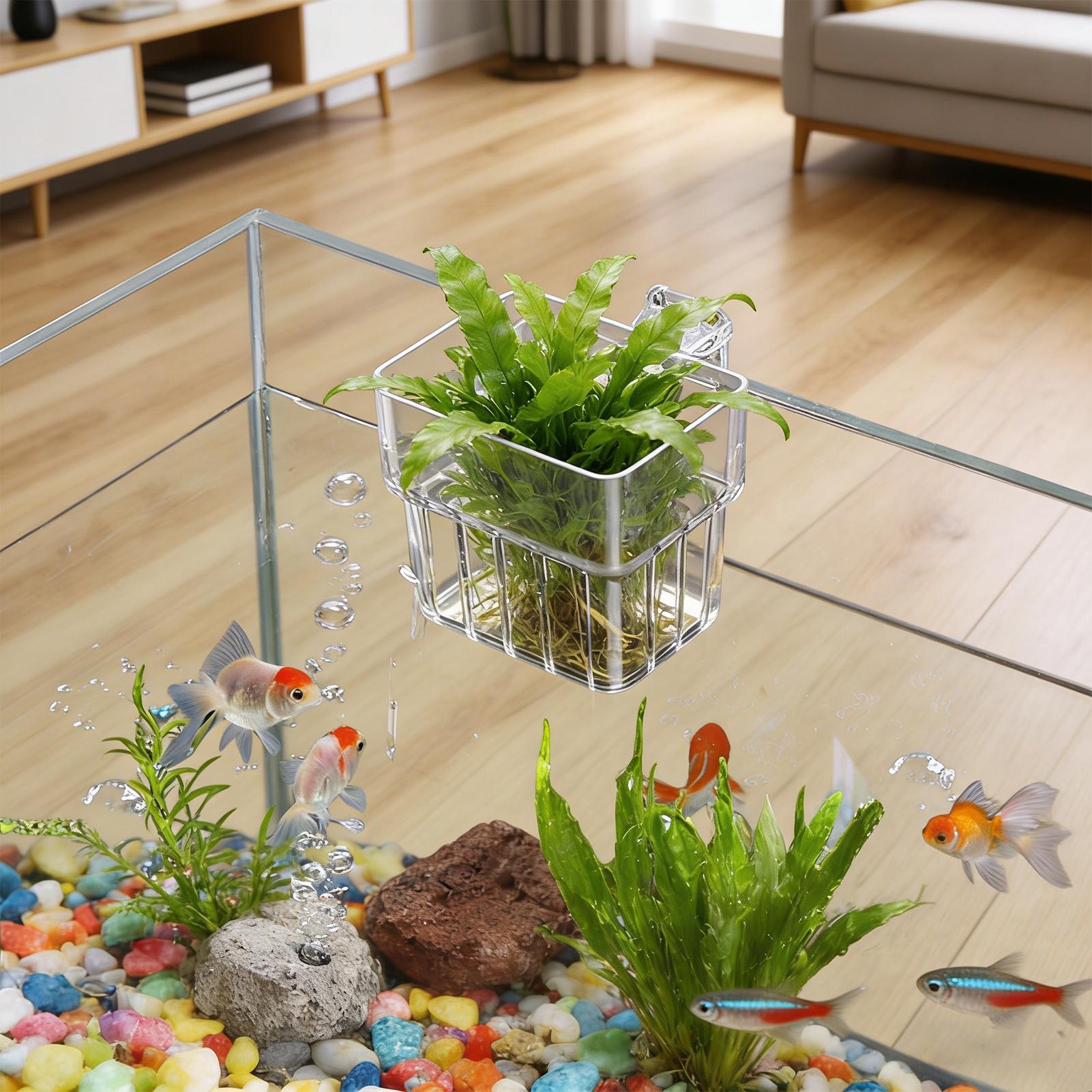Transparent Hangable Aquarium  - Aquarium Fish Names recension och pris