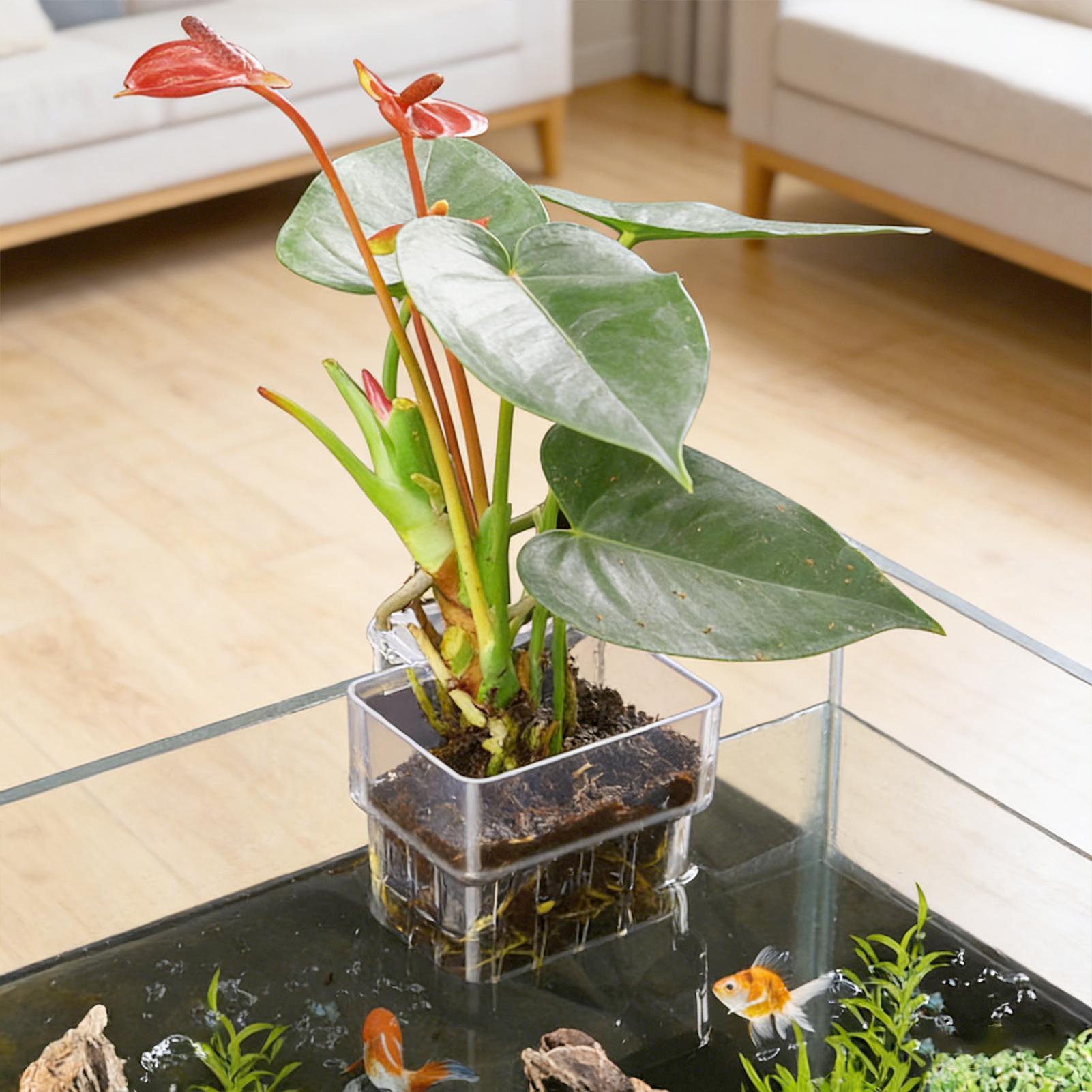 Transparent Hangable Aquarium  - Aquarium Fish Names recension och pris