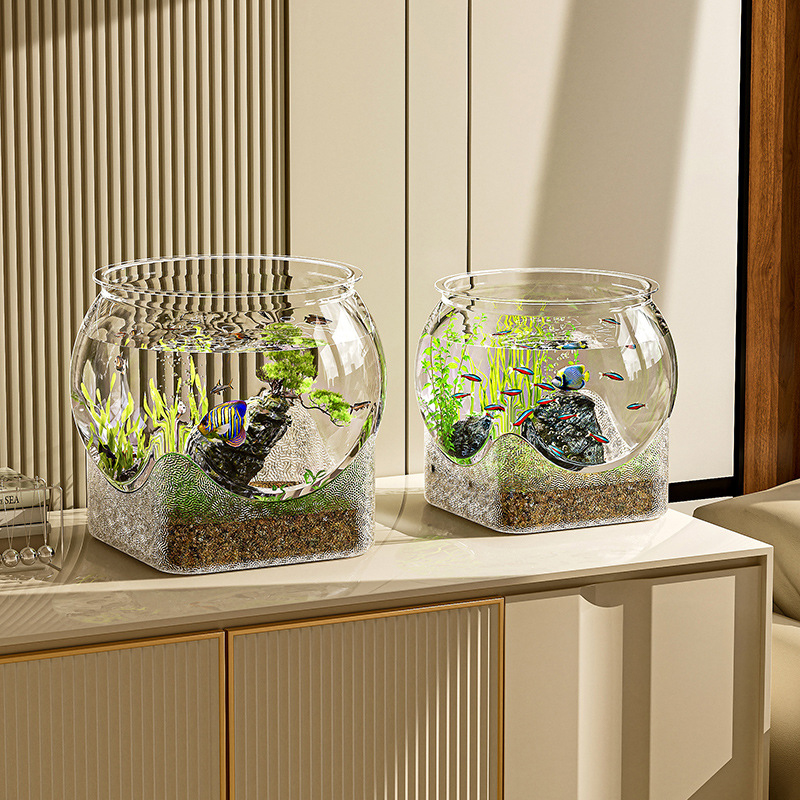 Fish Tank Aquarium Transparent - Aquarium Fish Names recension och pris