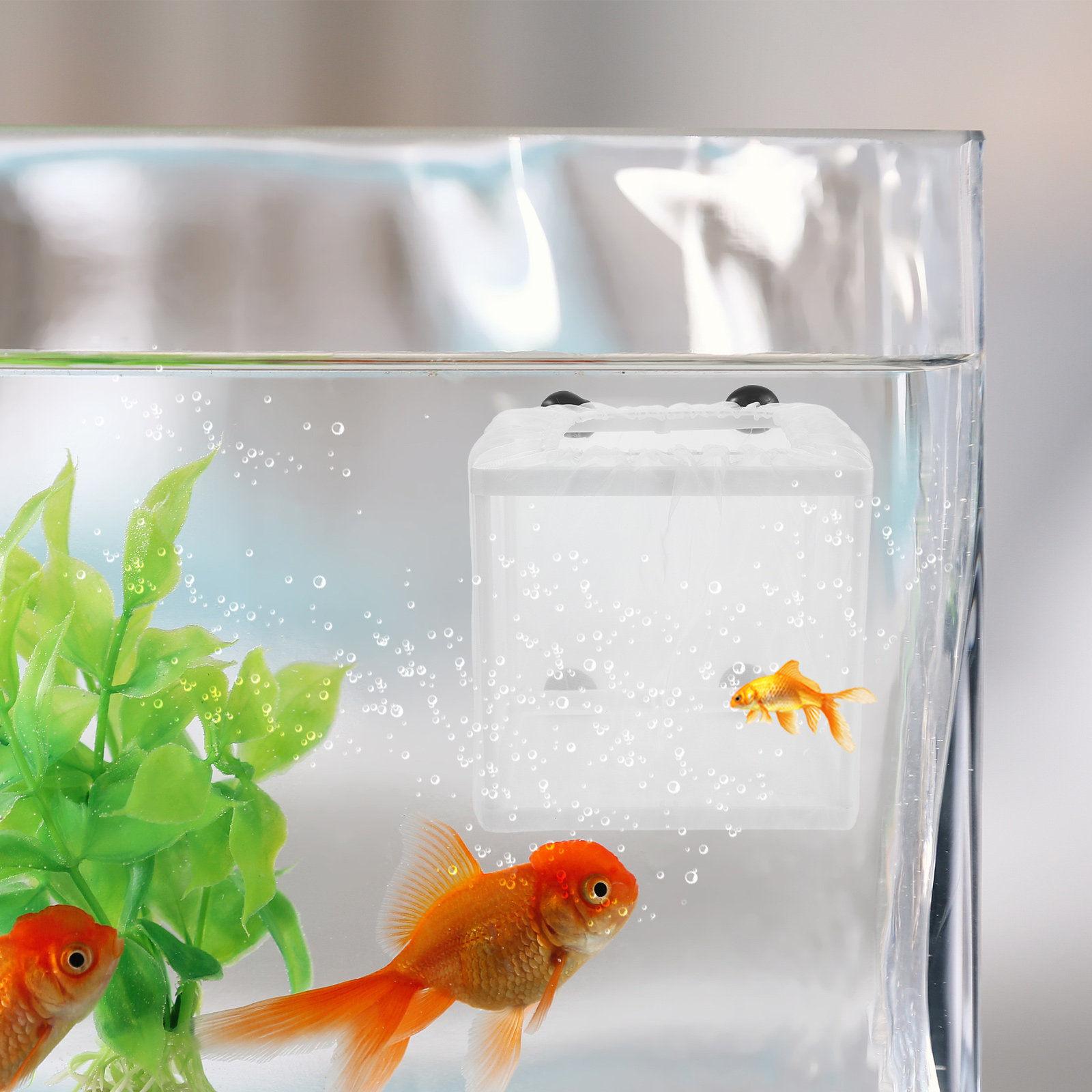2Pcs Fish Breeding Isolation B - Aquarium Fish Net Small recension och pris