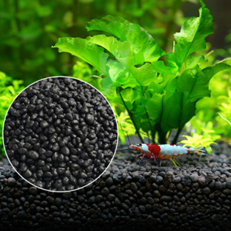 Aquarium Plant Seeds Soil Fish - Aquarium Fish Quarantine recension och pris
