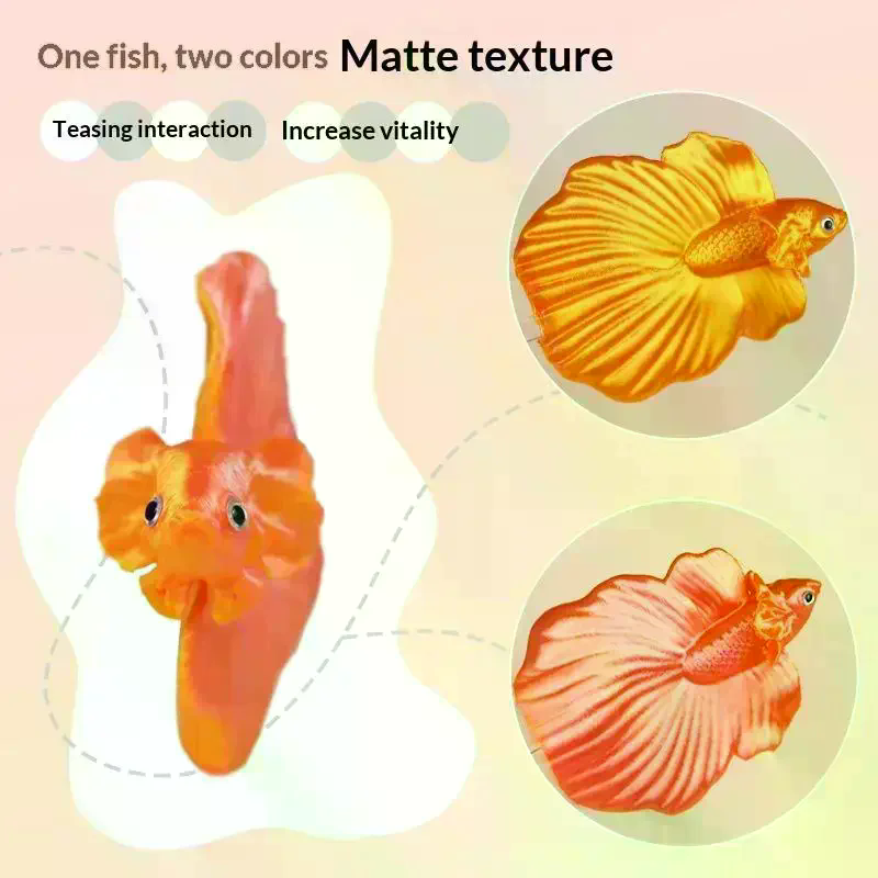 Colorful Aquarium Betta Traini - Aquarium Fish Colorful recension och pris