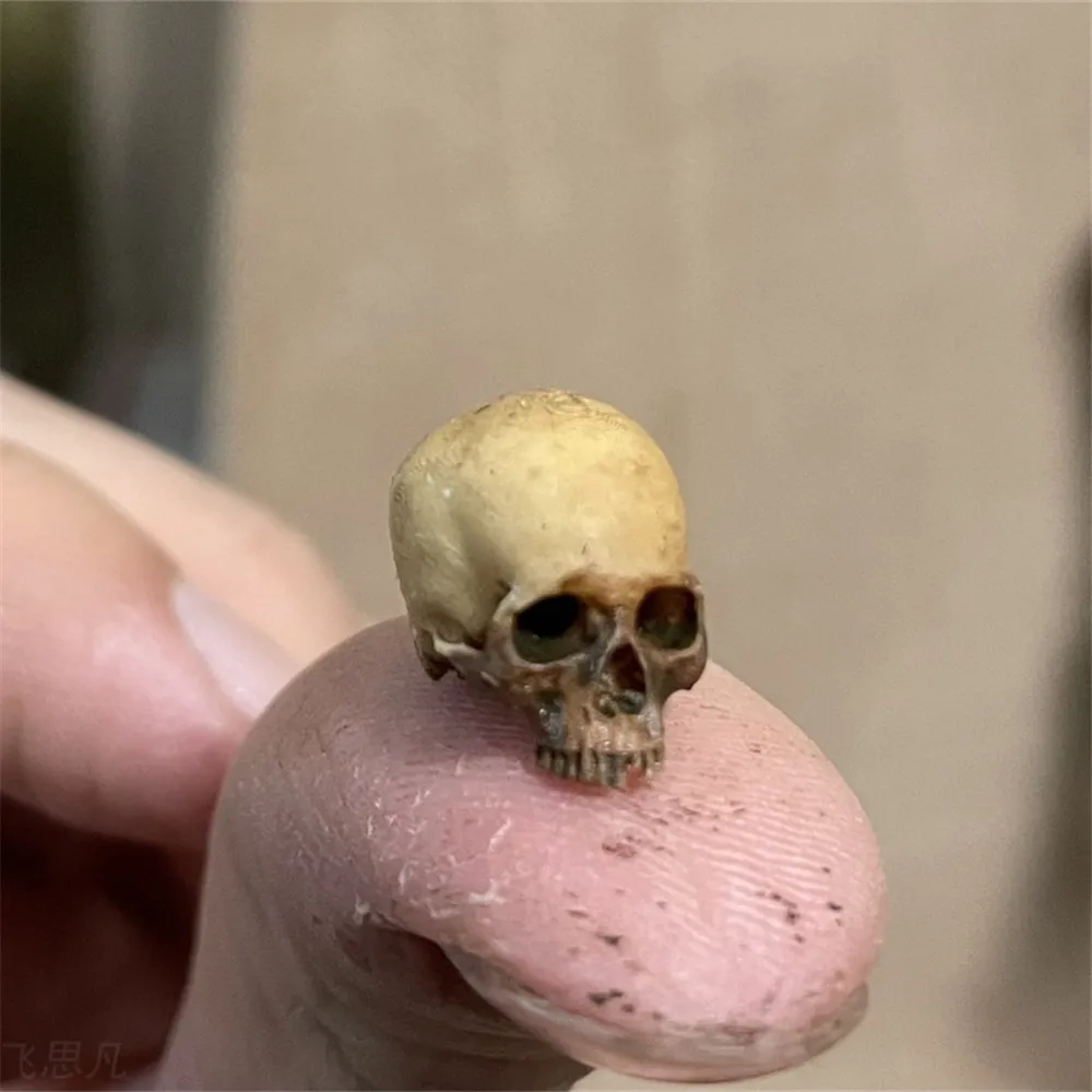 Mini Skull High Quality Miniat - Aquarium Fish Names recension och pris