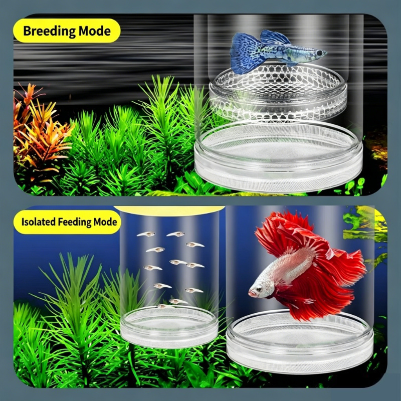 Transparent Floating Aquarium  - Aquarium Fish Betta recension och pris