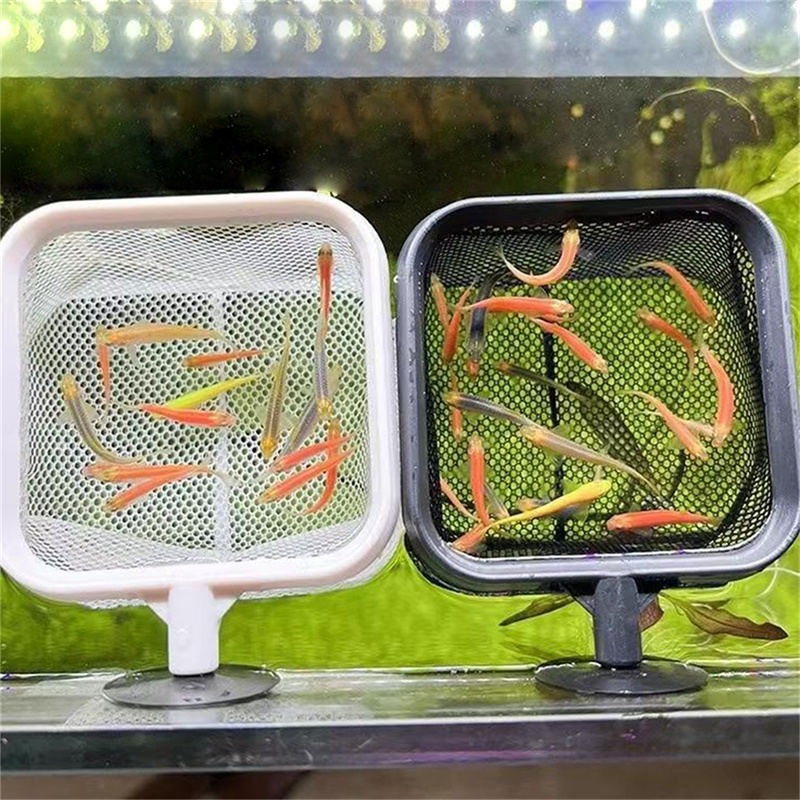 AquariumFish Fishing Net Stain - Aquarium Fish Net Small recension och pris
