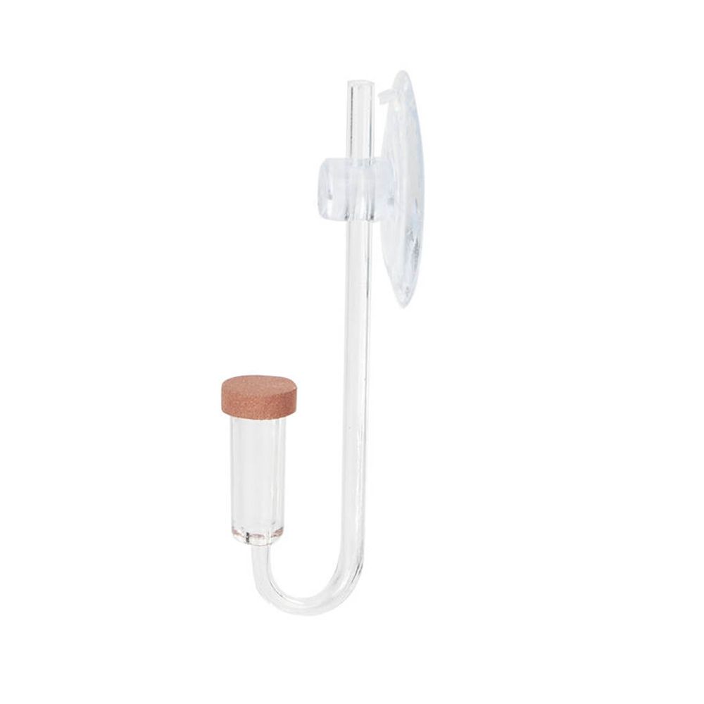 Acrylic Mini Fish Tank Live Pl - Aquarium Fish Quarantine recension och pris