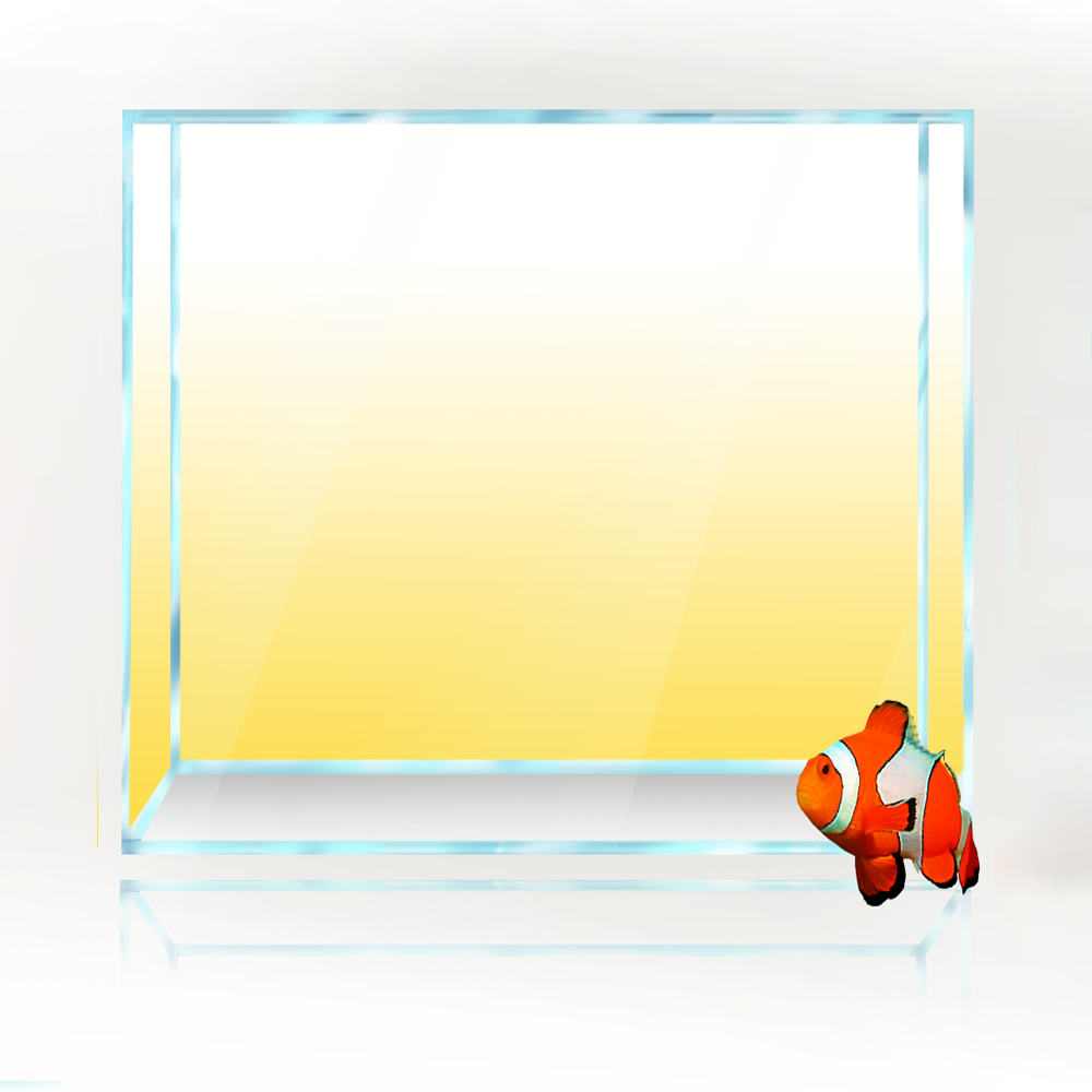 Square Fish Tank Background Wh - Aquarium Fish Yellow And Black recension och pris