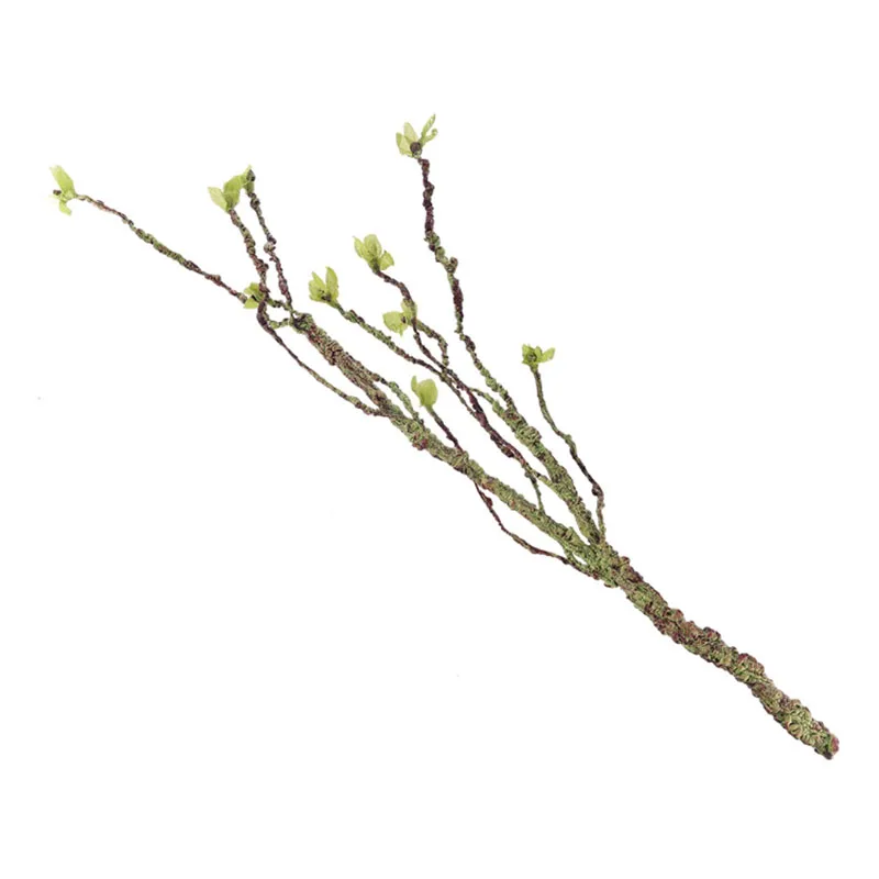 Vines Decor Climbing Branches  - Aquarium Fish Quarantine recension och pris