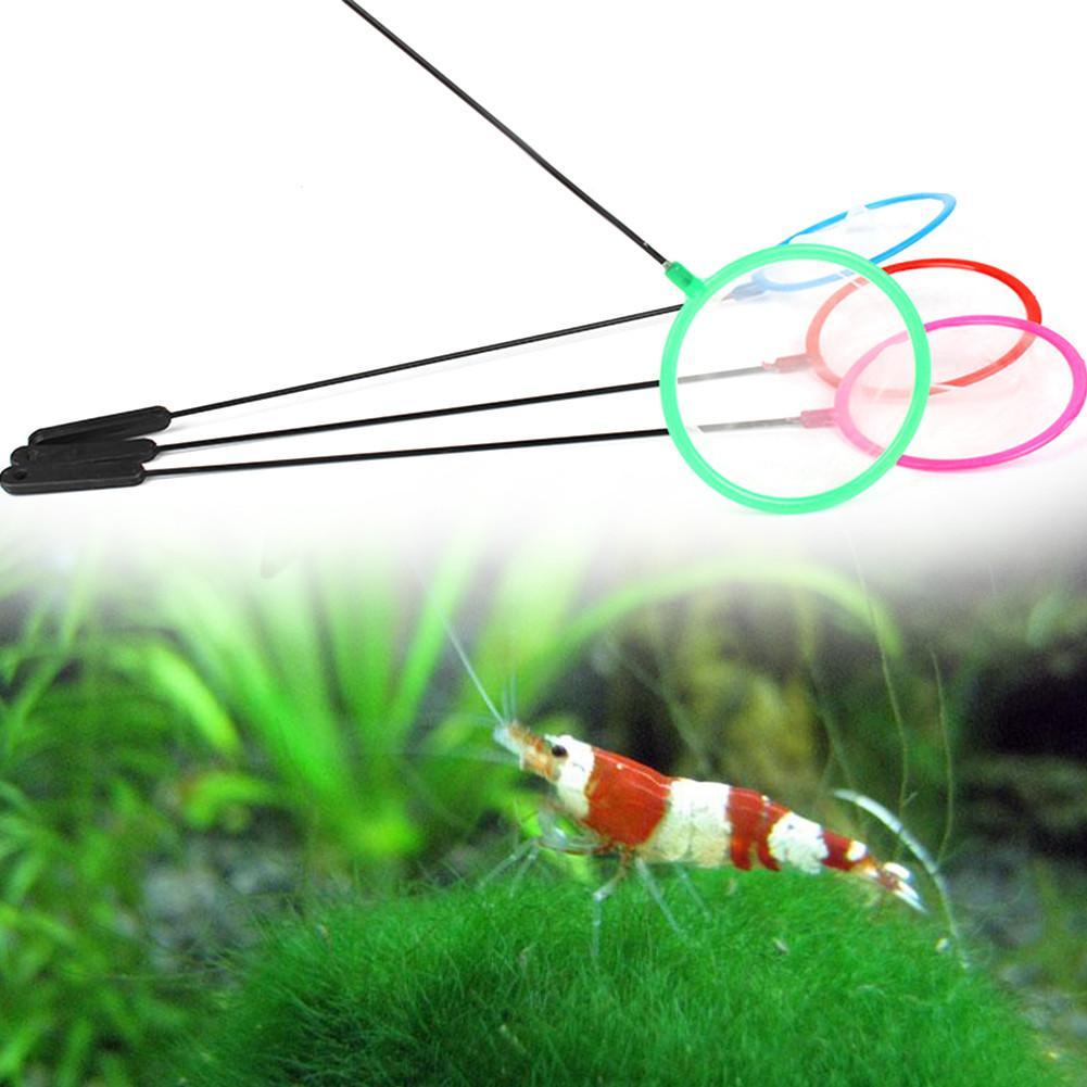 1/5/10pc Colorful Aquarium Fis - Aquarium Fish Net Small recension och pris